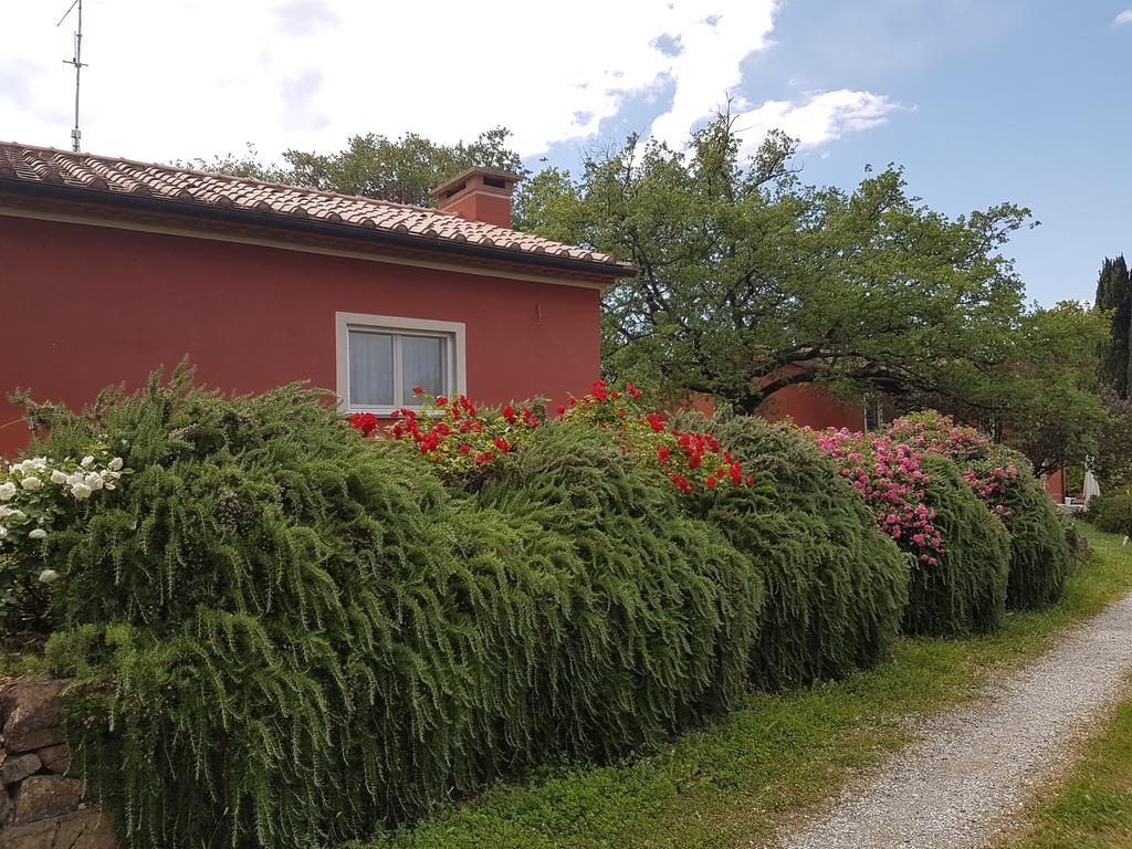 Tenuta Col Di Sasso Scarlino Exterior foto