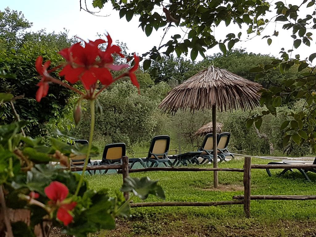 Tenuta Col Di Sasso Scarlino Exterior foto