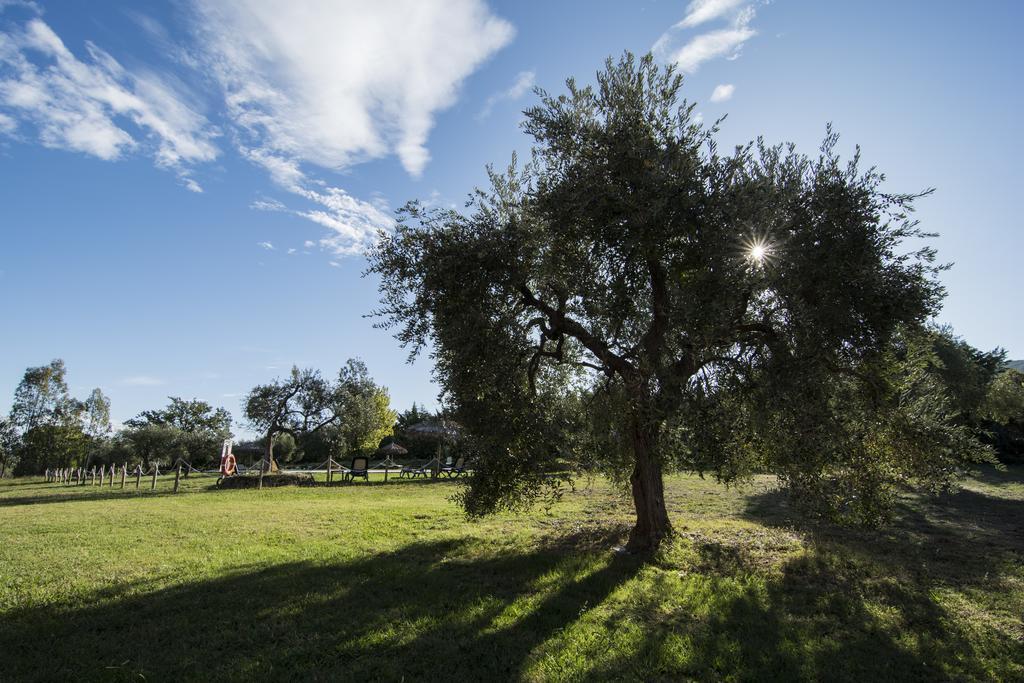 Tenuta Col Di Sasso Scarlino Exterior foto