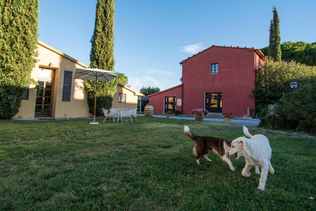 Tenuta Col Di Sasso Scarlino Exterior foto