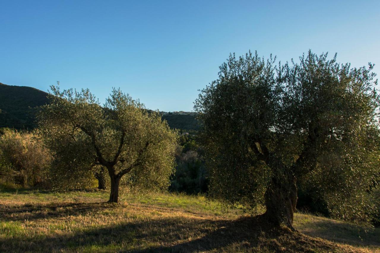 Tenuta Col Di Sasso Scarlino Exterior foto