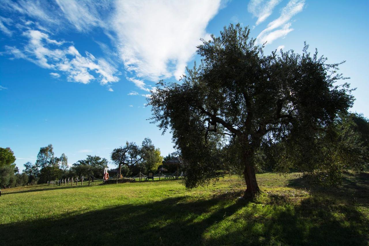 Tenuta Col Di Sasso Scarlino Exterior foto